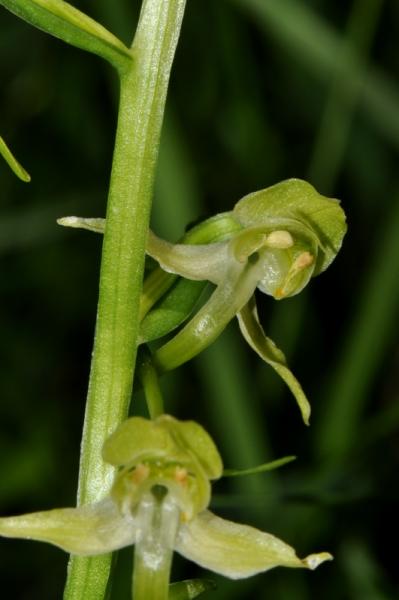 20-06-2010 03.jpg